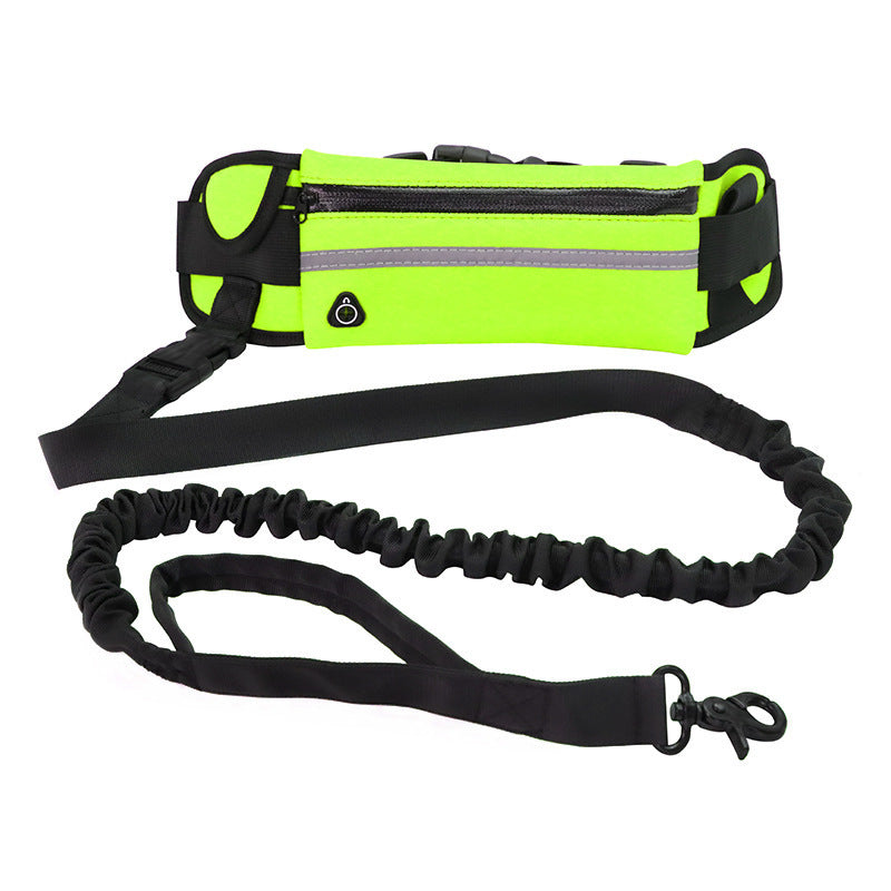 Pet Waist Bag