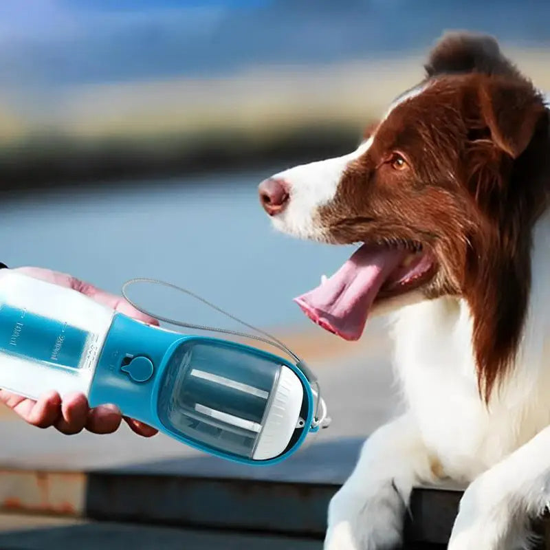 Portable Pet Water Dispenser