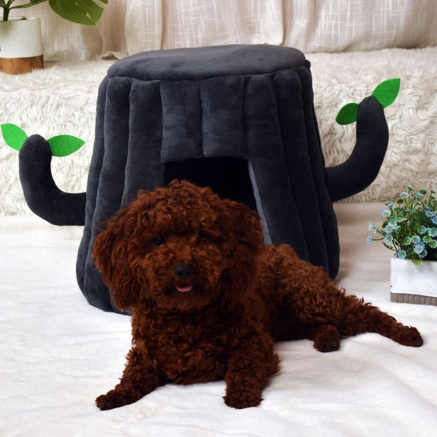 Tree Stump Pet Hideaway
