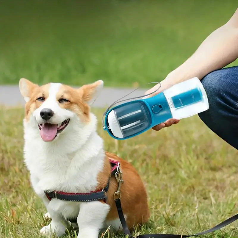 Portable Pet Water Dispenser