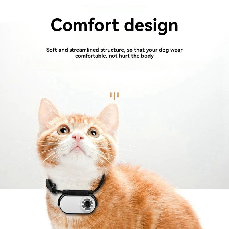 Pet Camera Collar