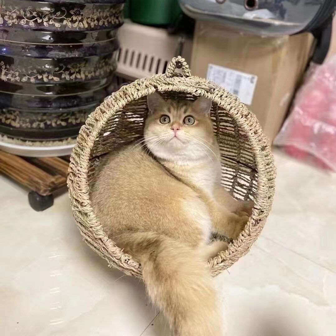 Woven Hanging Cat Bed